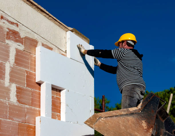 Best DIY Insulation Kits and Guidance in Bemiss, GA