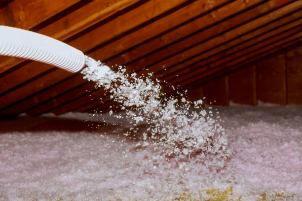 Types of Insulation We Offer in Bemiss, GA