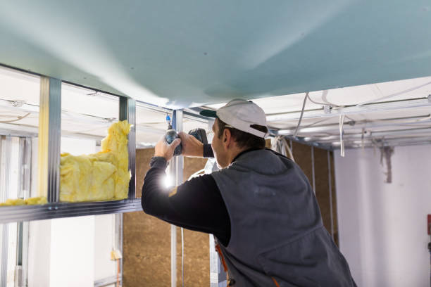 Best Spray Foam Insulation in Bemiss, GA