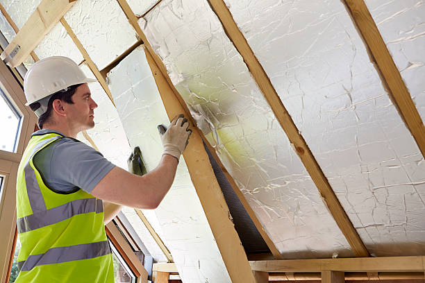 Best Insulation Maintenance and Repair in Bemiss, GA