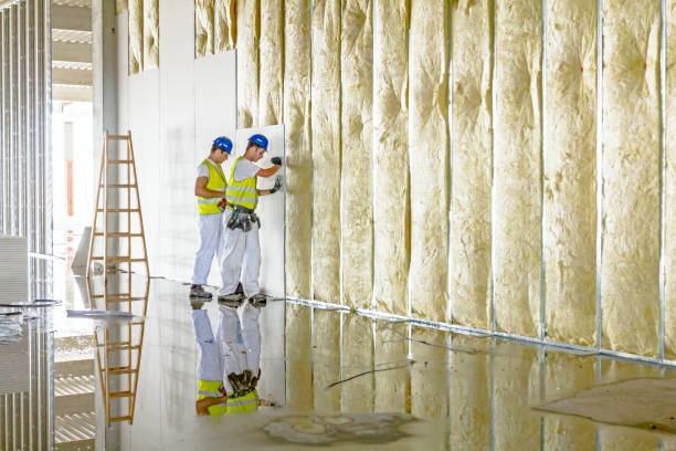 Best Residential Insulation in Bemiss, GA